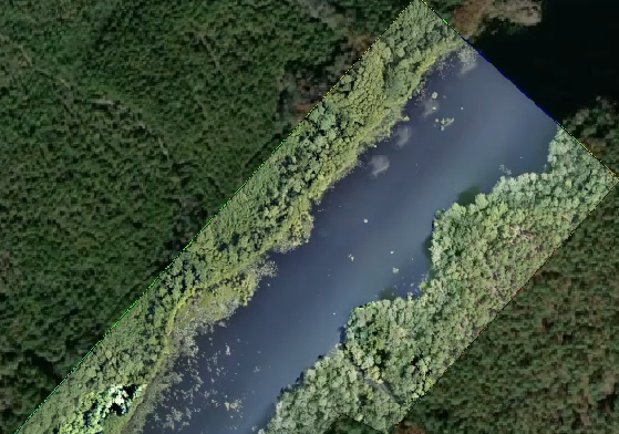 Using Drones to Map Vegetation Along Shorelines With Correlator3D Using Drones to Map Vegetation Along Shorelines With Correlator3D