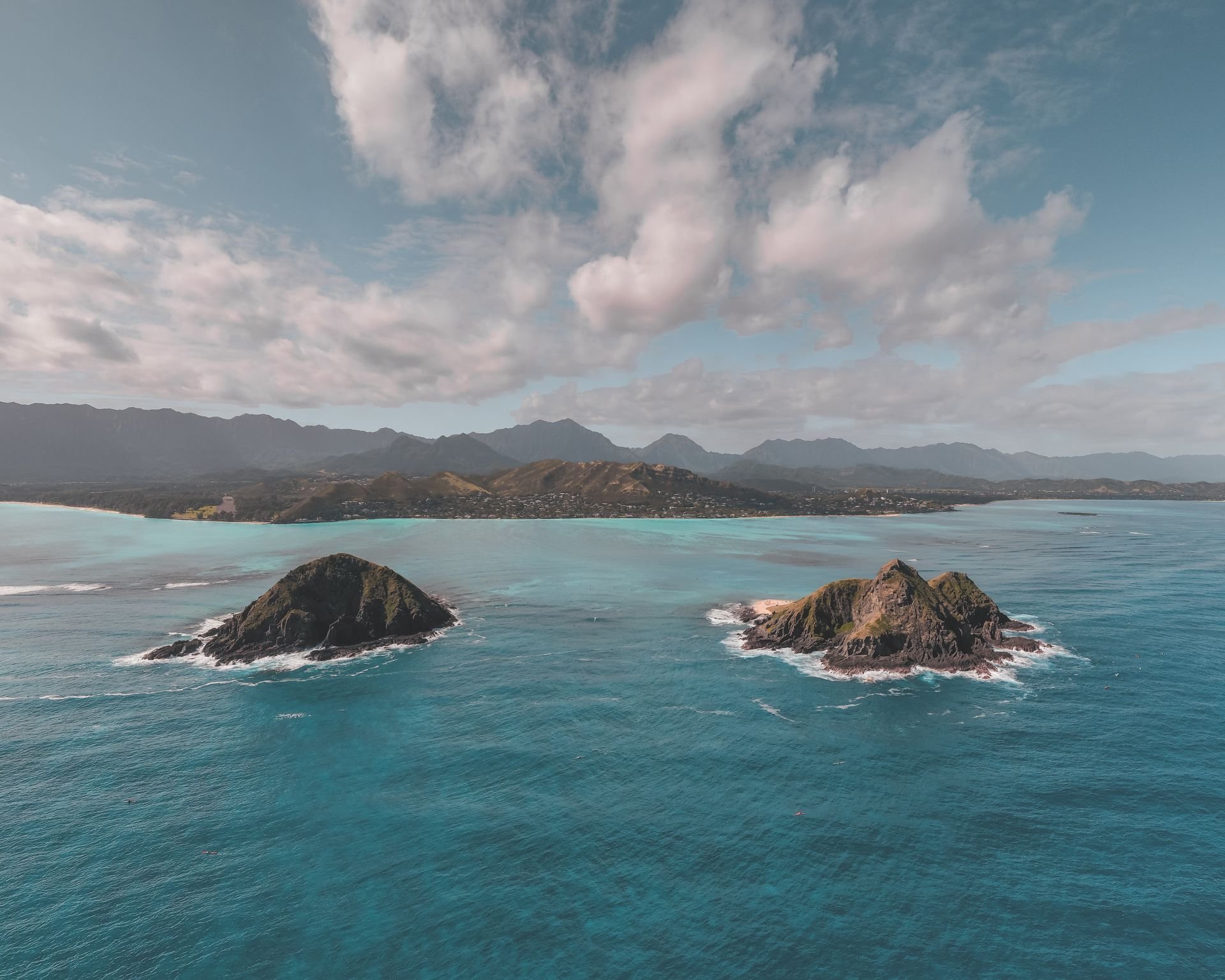 Wildlife Monitoring in Hawaii with Correlator3D Wildlife Monitoring in Hawaii with Correlator3D