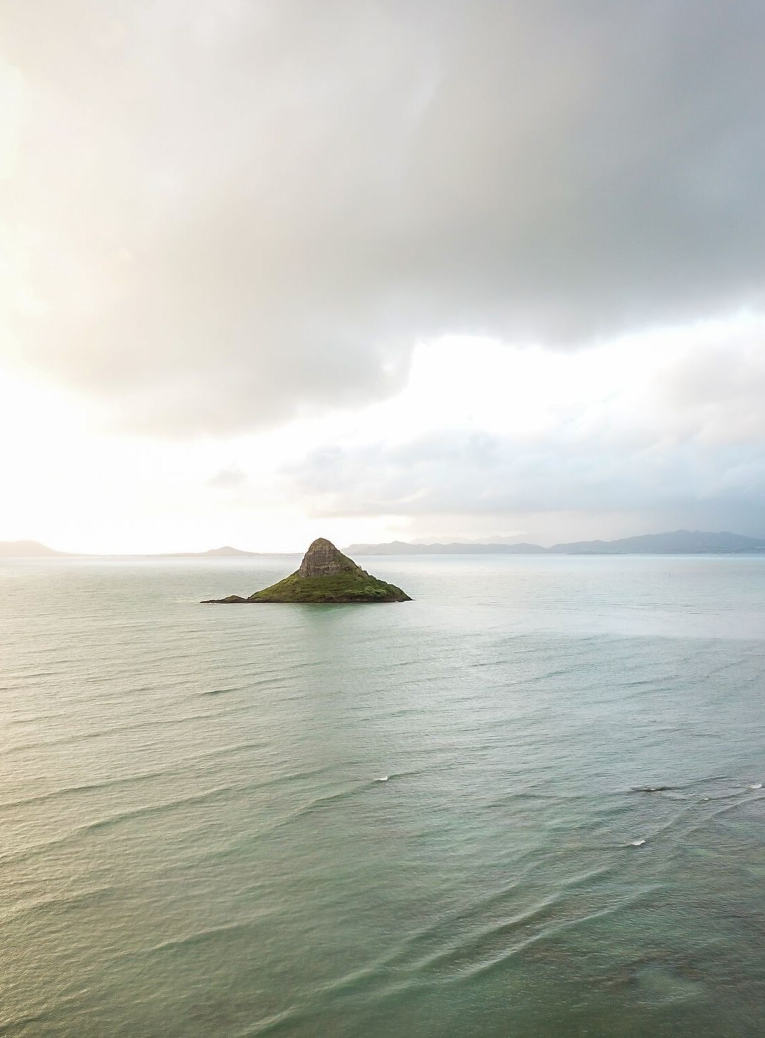 Wildlife Monitoring in Hawaii with Correlator3D Wildlife Monitoring in Hawaii with Correlator3D