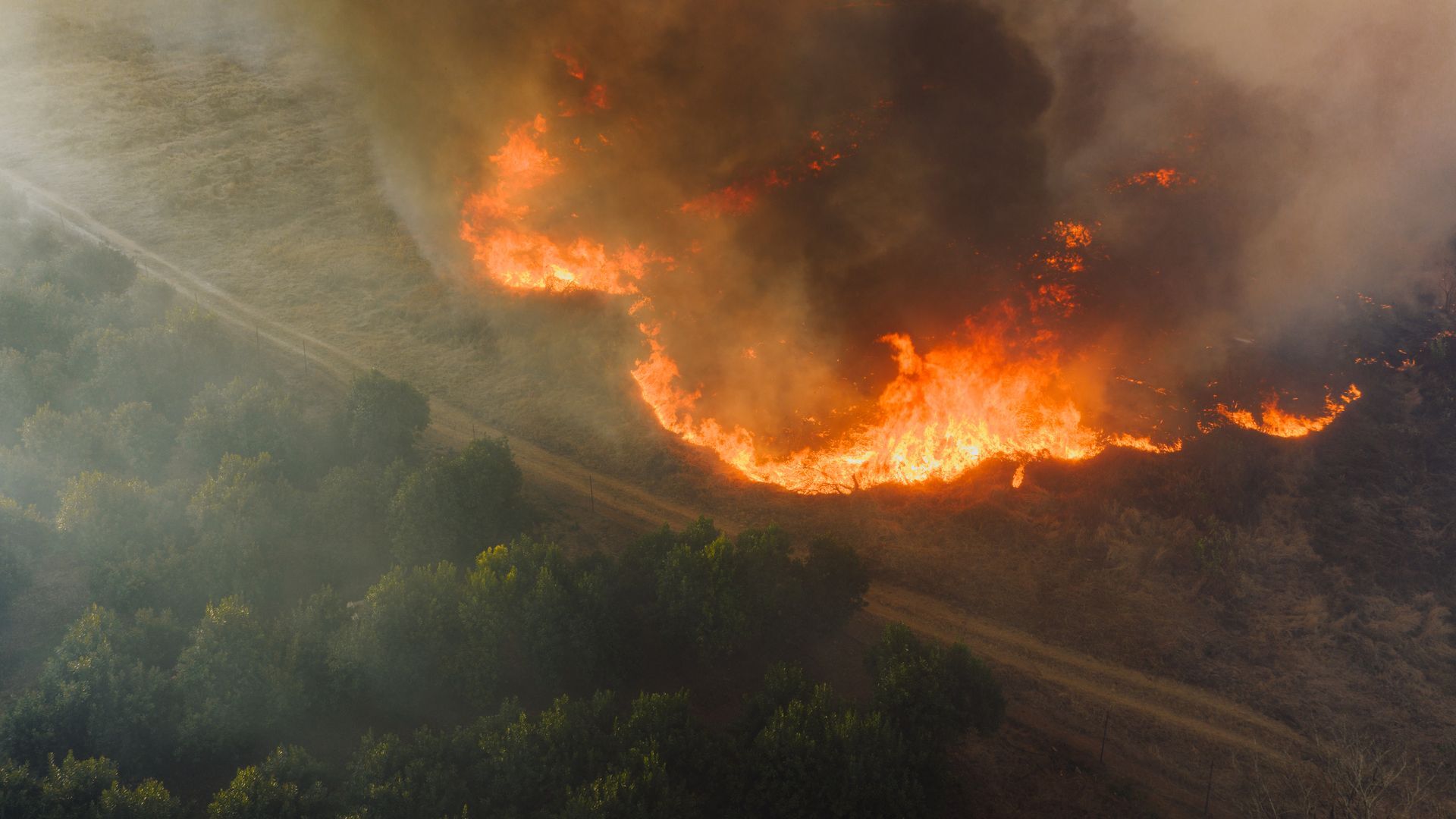 SimActive Enables Rapid Orthomosaic Production for Planned Burns Mapping
